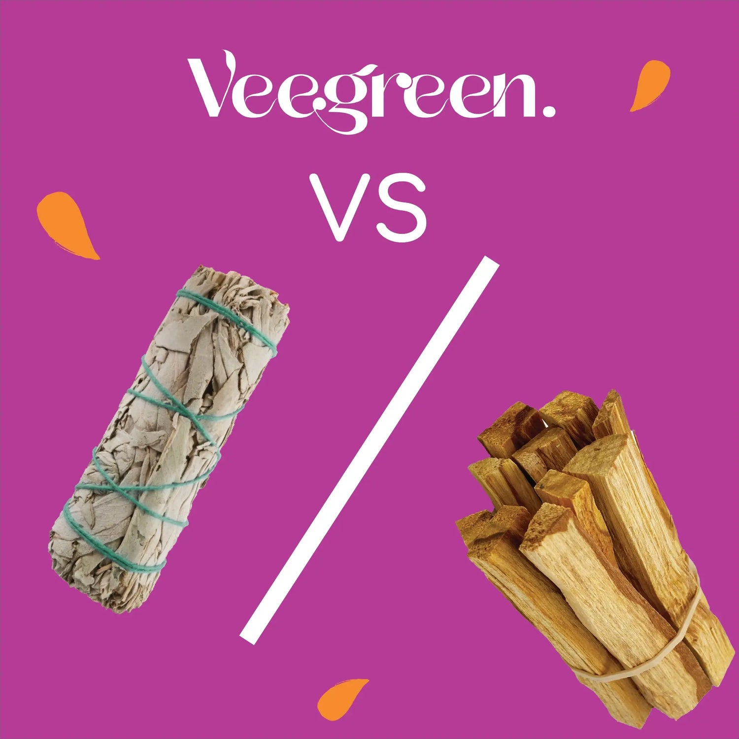 Quelle-est-la-différence-entre-la-sauge-blanche-et-le-Palo-Santo Veegreen