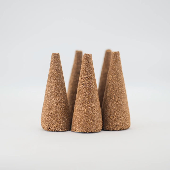 Palo Santo Cone X10 incense