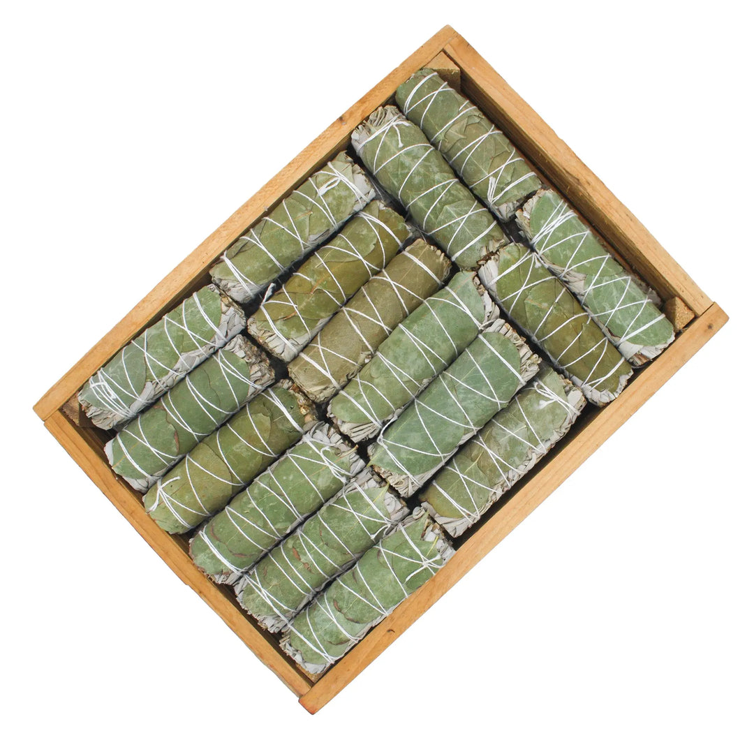 Sauge Blanche Eucalyptus Vrac Veegreen