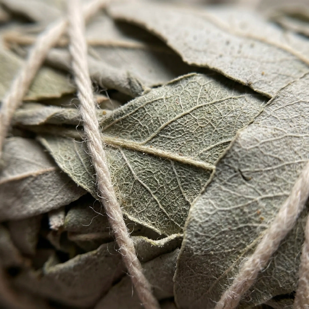 Coffret Sauge Blanche - Purification