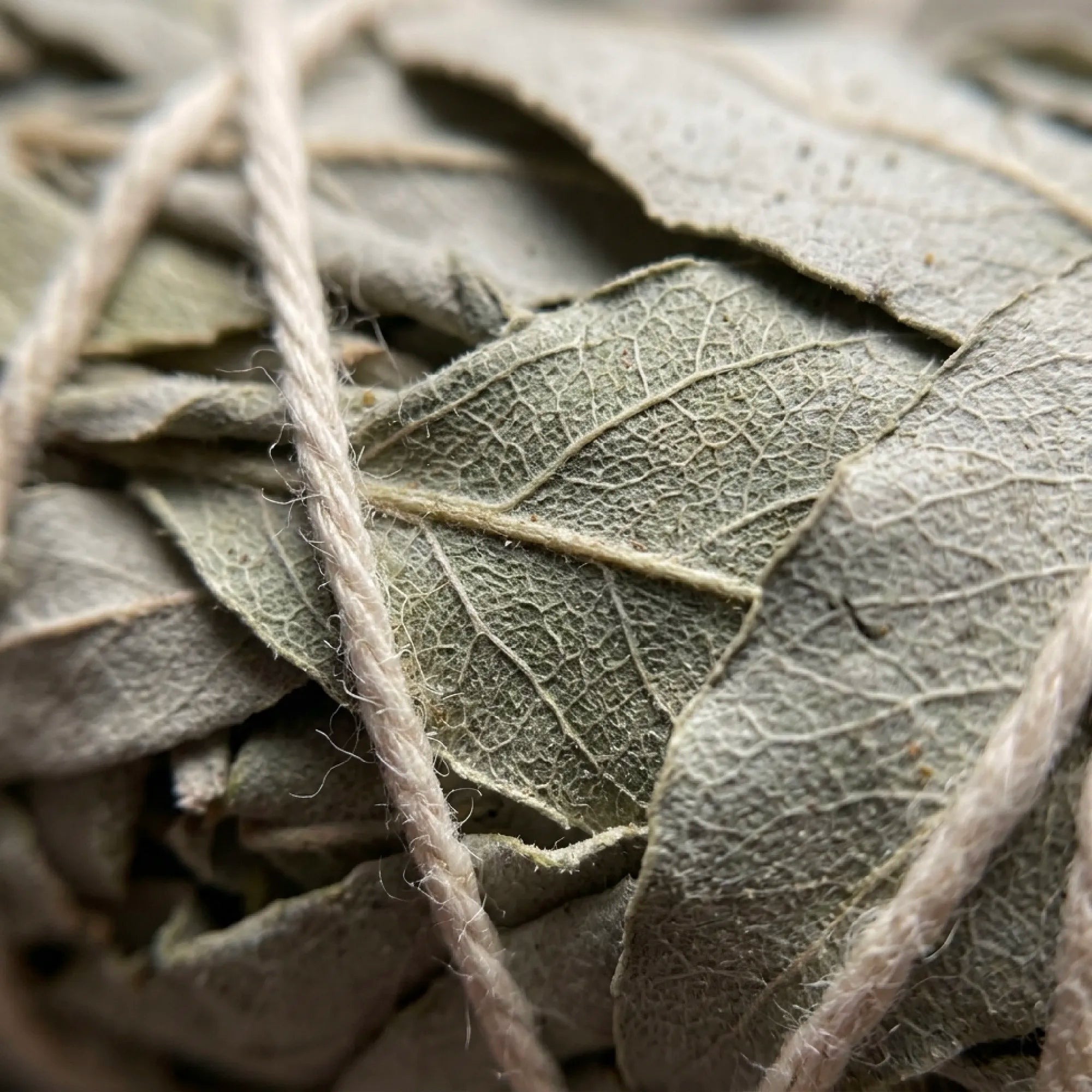 White Sage Purification Box