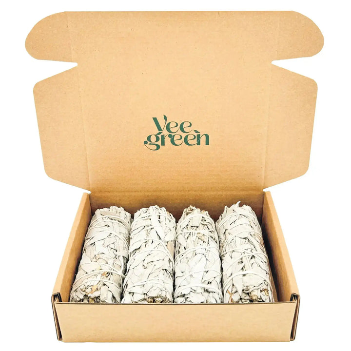 Coffret de 4 Sauges Blanches